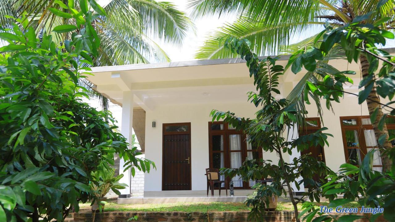 The Green Jungle Dambulla Extérieur photo