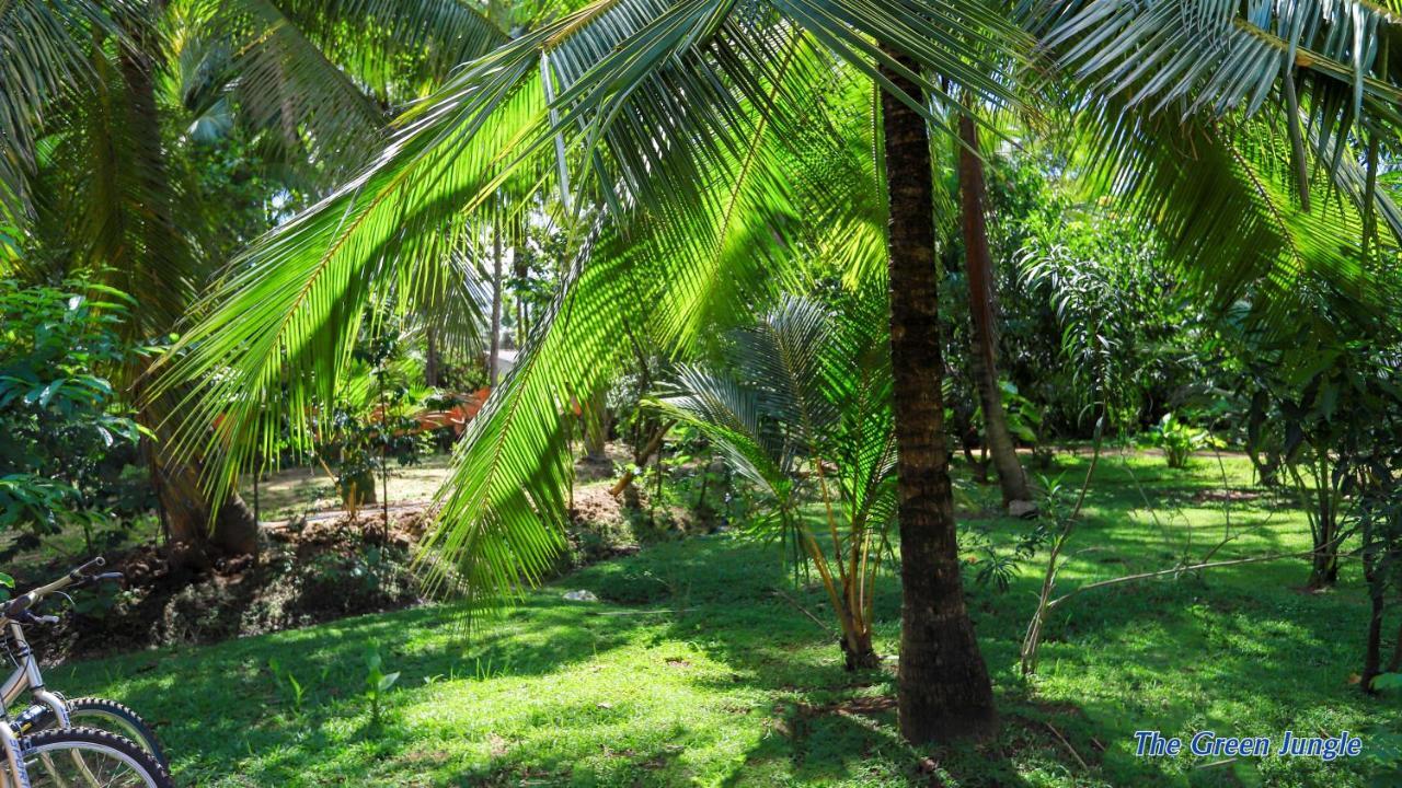The Green Jungle Dambulla Extérieur photo