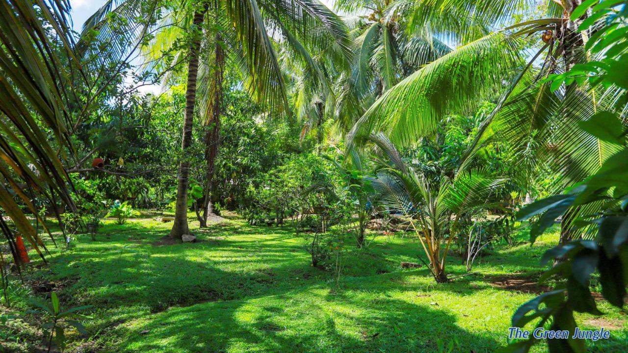 The Green Jungle Dambulla Extérieur photo