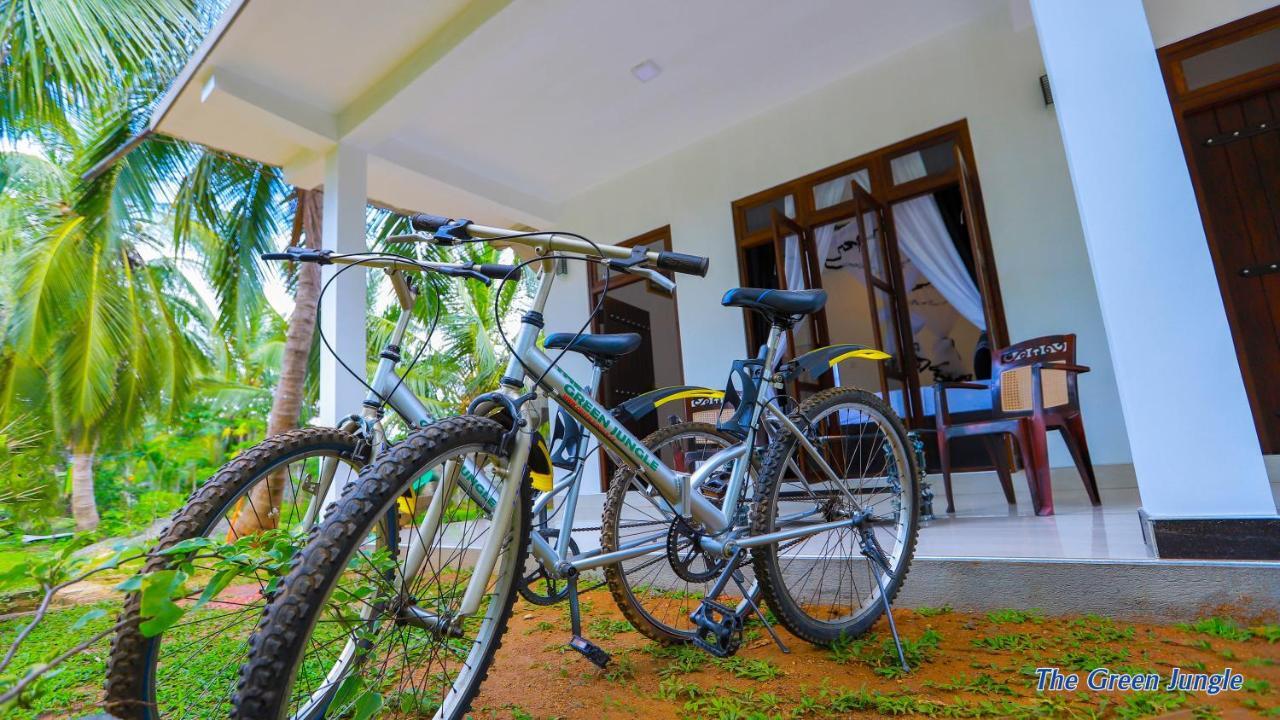 The Green Jungle Dambulla Extérieur photo