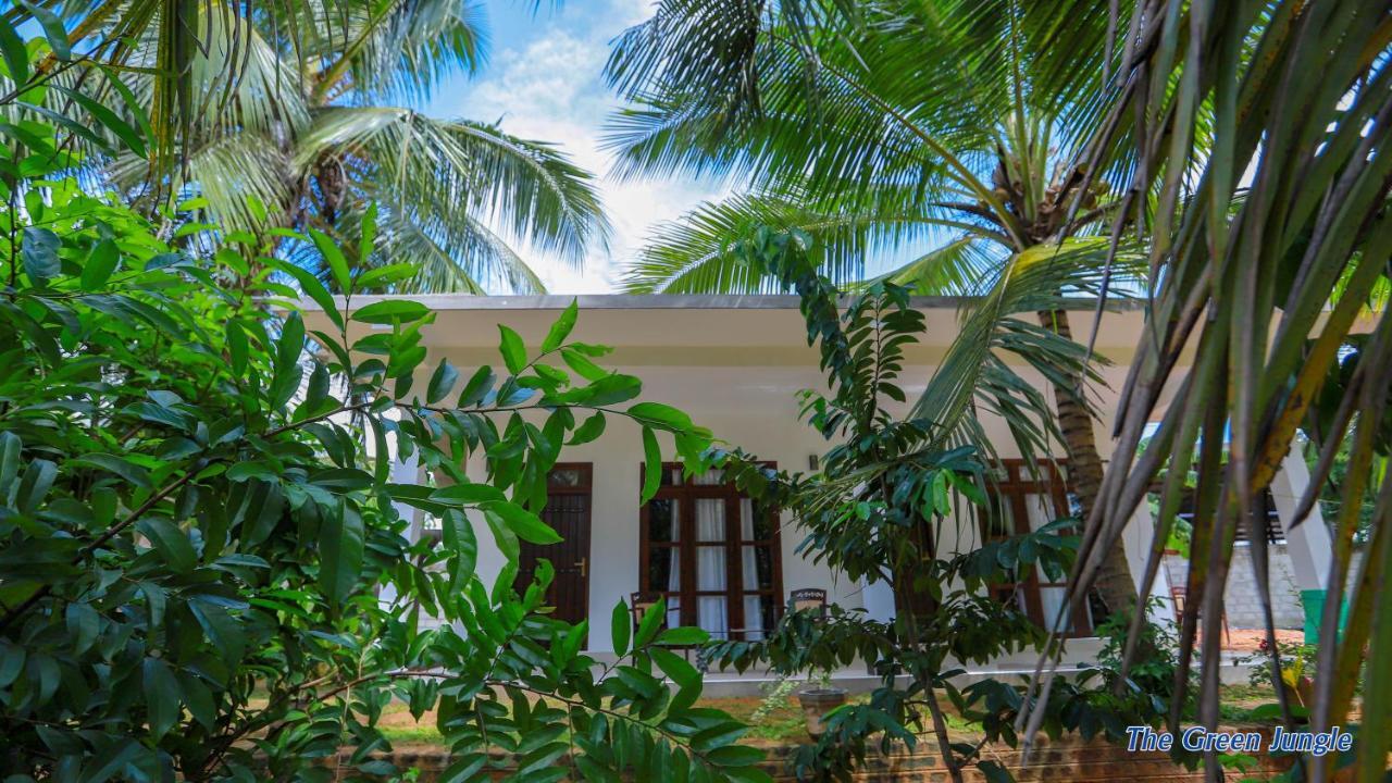 The Green Jungle Dambulla Extérieur photo